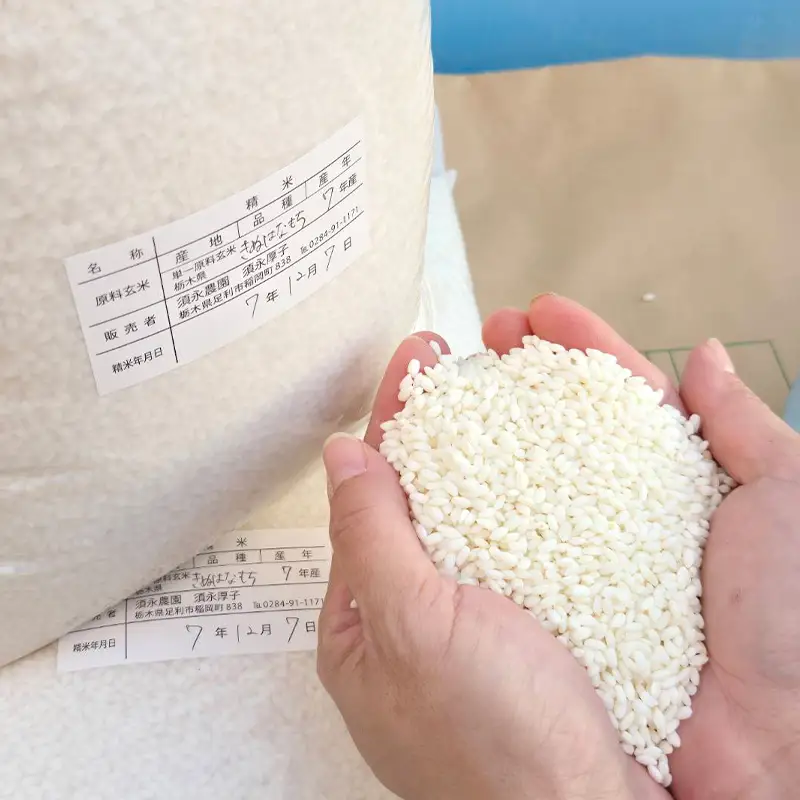 令和7年産 もち米 栃木県足利市産 きぬはなもち10kg〈5kg×2袋〉 もち米 餅 米 こめ  食品 栃木県 足利市  F7Z-1978