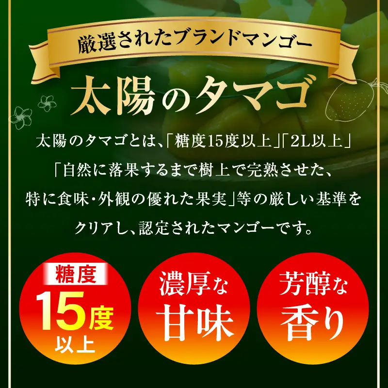 マンゴー 太陽のタマゴ 定期便 マンゴー[全3回 2027年発送先行予約 数量・期間限定]