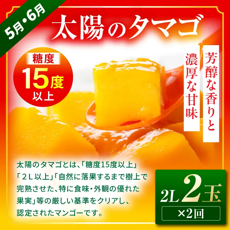 定期便 太陽のタマゴ ライチ 定期便[全3回 2027年発送先行予約 数量・期間限定]