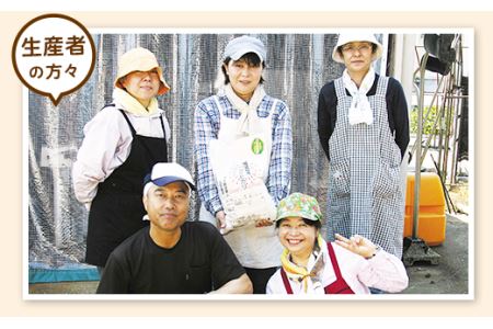 E1-S053B【3ヶ月連続お届け】新潟県産米コシヒカリ5kg