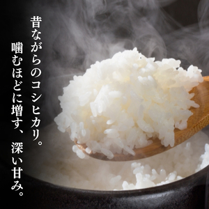 令和7年産 新潟県上越産 特別栽培米 コシヒカリ 【無洗米】 5kg 5キロ 従来品種 こしひかり おおた農場 上越市
