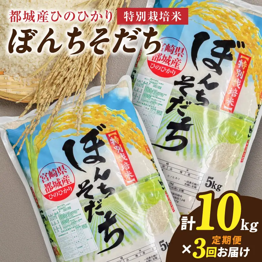 ≪3回お届け!≫都城産ひのひかり特別栽培米「ぼんちそだち」10kg定期便〔T63-3-N5-001-10kg〕_(都城市) 都城産 お米 10kg ひのひかり ぼんちそだち 5kg×2袋 3ヶ月定期便