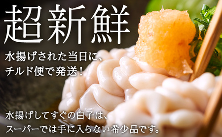 【2027年1月以降発送】【先行予約】旬の時期にチルドでお届け!北海道産白子(真鱈)500g 真だち たち タチ 真ダチ