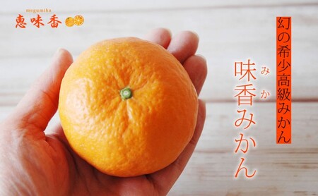 佐賀みかん ジュース 皮丸ごと冷凍果汁 1L
