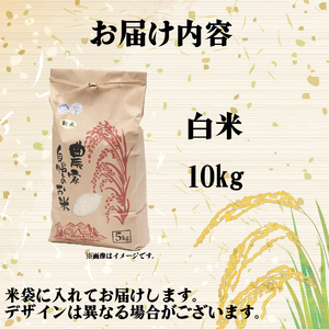 【 令和7年産 米 10kg 】 きぬひかり 白米