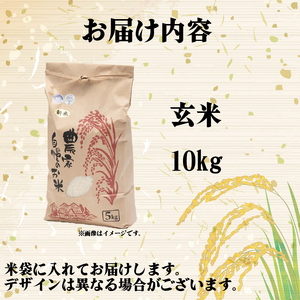 【 令和7年産 米 10kg 】 きぬひかり 玄米