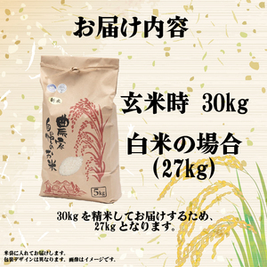 【 令和7年産 米 27kg 】 きぬひかり 白米