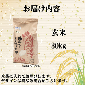 【 令和7年産 米 30kg 】 きぬひかり 玄米