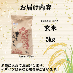 【令和7年産】 米 玄米 5kg 定期便 3ヶ月 きぬひかり
