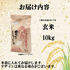 【令和7年産】 米 玄米 10kg 定期便 3ヶ月 きぬひかり