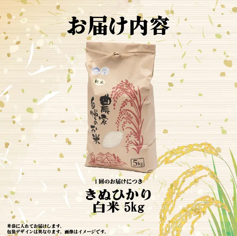 【先行予約】令和8年産 きぬひかり 5kg 定期便 6ヶ月 白米 米 