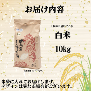 【3回定期便】令和7年産 米 10kg きぬひかり 白米