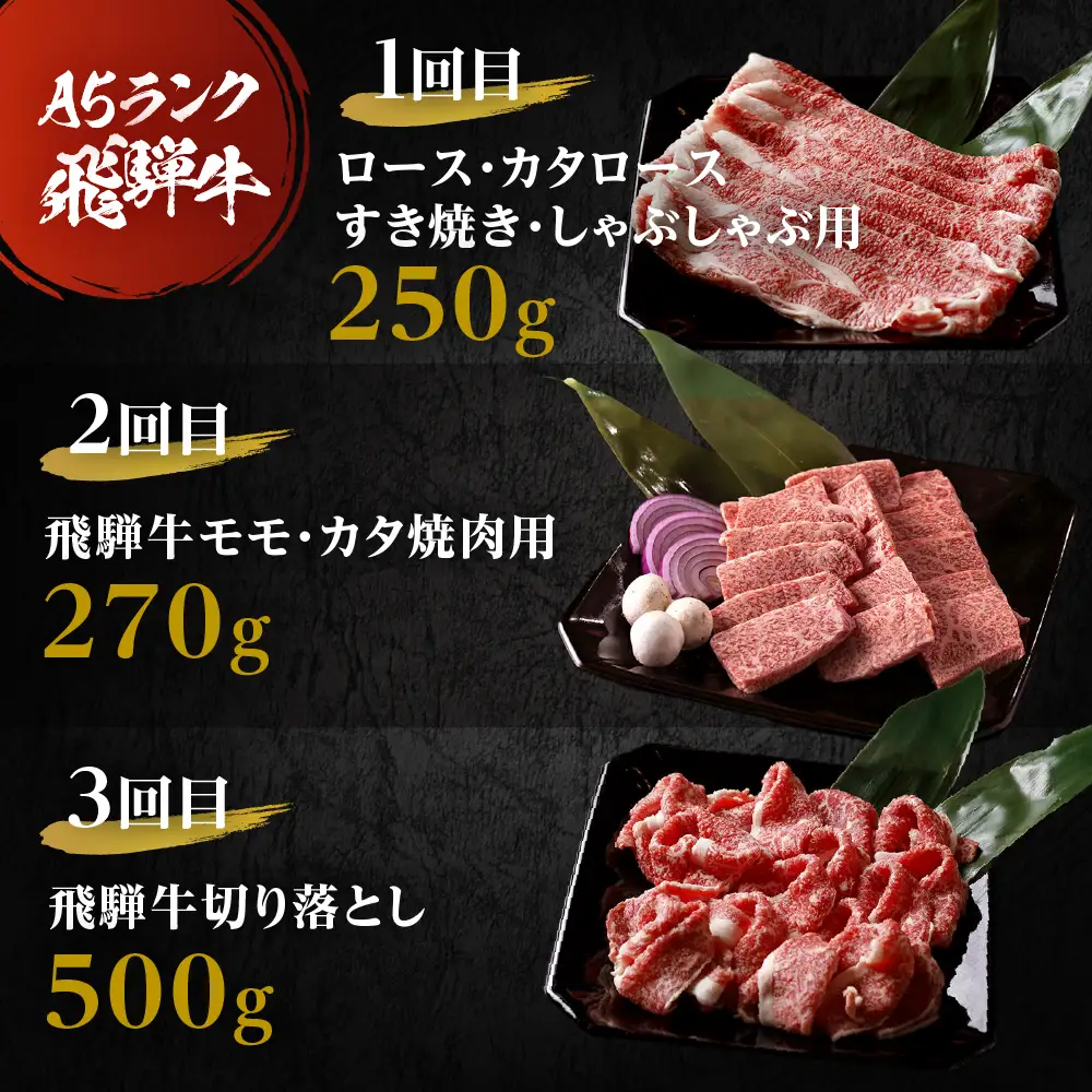 定期便 6回 A5飛騨牛 ご褒美 | 定期便