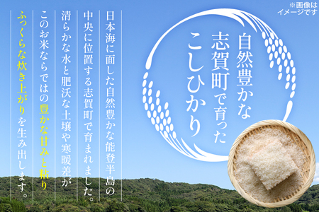 米 令和7年産 コシヒカリ 精米 3kg