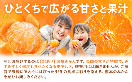 訳あり 温州みかん サイズミックス 3S ～ 3L 約10kg 日本フルーツ株式会社《10月中旬-2月下旬頃出荷》熊本県 荒尾市 みかん 温州みかん ミカン 蜜柑 柑橘類 訳あり ご家庭用 サイズ不揃い 果物 フルーツ