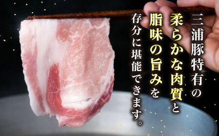 【3回定期便】 三浦豚 豚肉 ロース900ｇ（しゃぶしゃぶ用） / 恵那市 / あづま精肉店 [AUDL015]