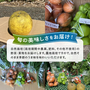 S096-004-T12_【定期便12回】季節のおまかせ野菜と果物セット