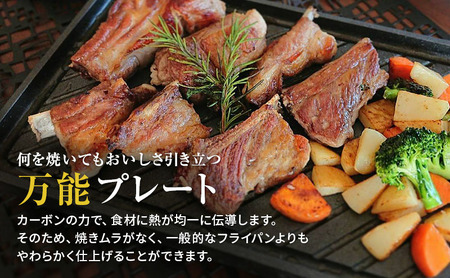 調理器具 Sumi Ita grill プレート 調理器具
