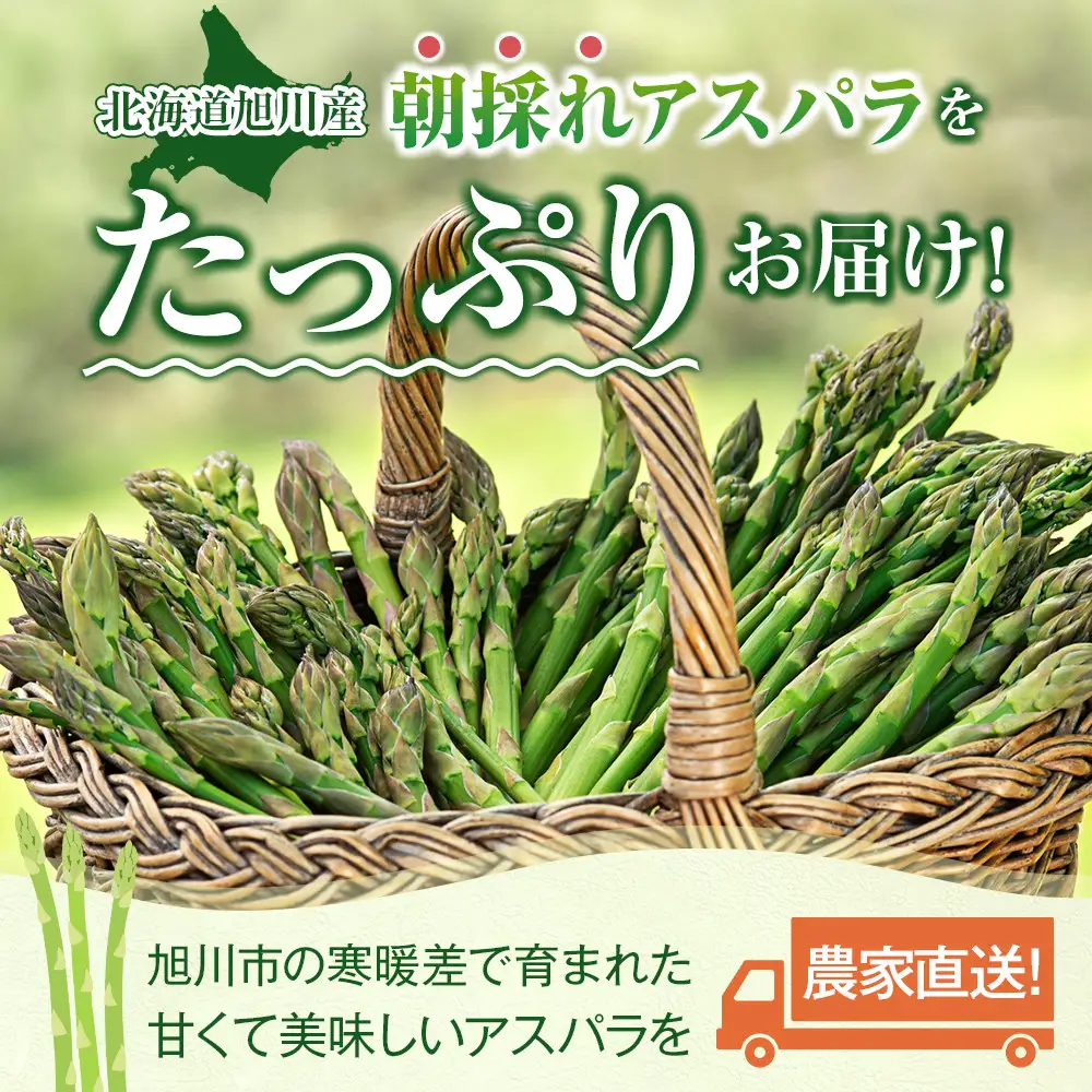 【2027年先行予約】農家直送 朝採れ 春グリーンアスパラ 2Lサイズ 800g(400g×2袋)  【野菜 アスパラガス 旬 新鮮 先行予約 アスパラガス あすぱらがす asparagus ASPARAGUS 北海道 旭川市 】_05934