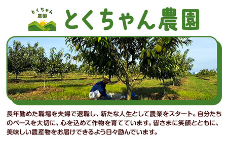 栗 生栗 2kg とくちゃん農園《2026年9月上旬-10月上旬頃出荷予定》