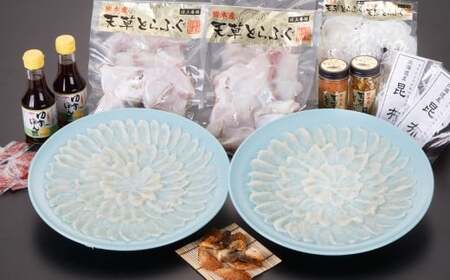 【白子付】大皿使用 国産最高級！天草とらふぐフルコース（7～8人前）【2026年12月下旬発送開始】トラフグ フグ 白子 お魚 贈答品 ギフト ご褒美 熊本県 天草 