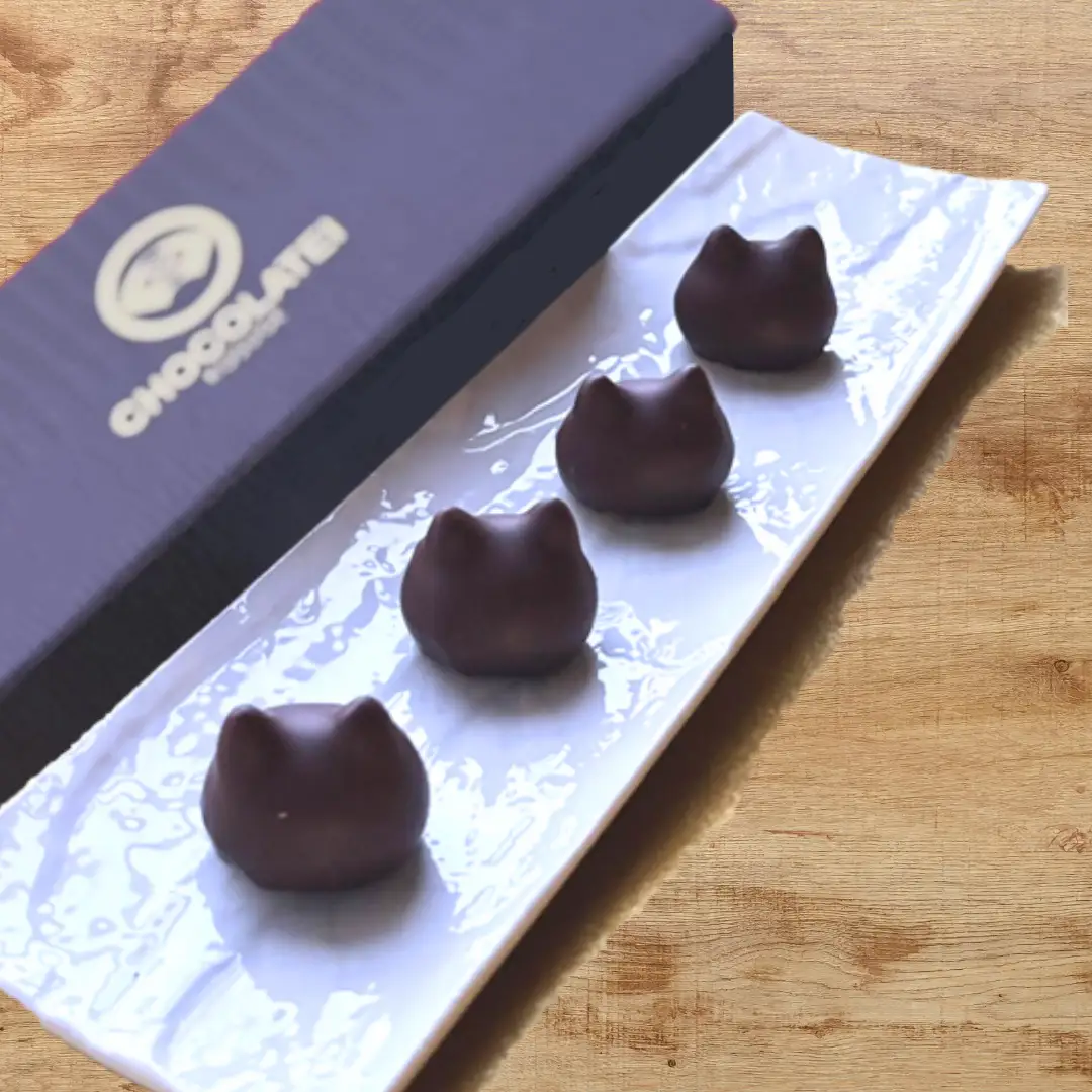 しょこら亭 猫チョコ（jomon）4個入×3セット お菓子 菓子 スイーツ チョコレート 贈答 1Z27023
