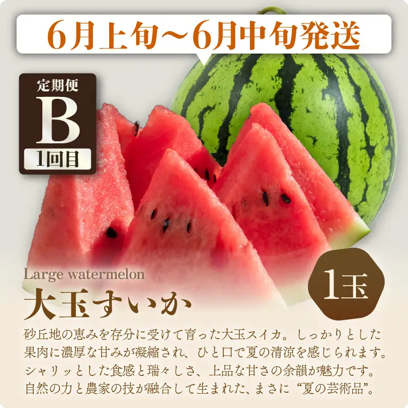 【先行予約】【定期便 3回コース】 坂井市フルーツ三昧！！「極」 B 【2027年7月上旬以降順次発送開始予定】定期便 くだもの 果物 [F-3202]