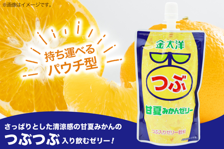 AJ237 金太洋 つぶ甘夏みかんゼリー 150g パウチ 24本