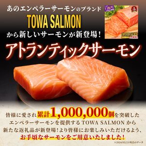 【TOWA SALMON】 アトランティック サーモン 【800g】鮭 サーモン さけ シャケ しゃけ sake カルパッチョ ソテー レアステーキ 人気 高級 大満足 美味しい 贈答 生食用 刺身 お刺身 刺し身 魚介類 海鮮 冷凍 厚切り 薄切り ふるさと納税 北海道 白糠町_T011-1111