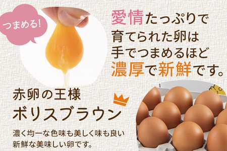 木村さんちのたまご 赤玉50個 （M～L） 九州産 卵 玉子 玉子焼き たまごかけごはん 生卵 濃厚卵 鶏卵 送料無料