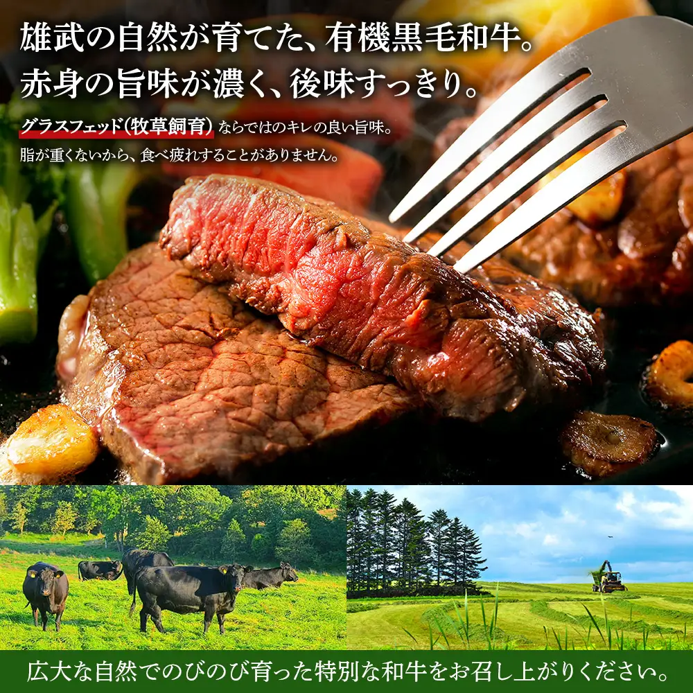 北海道雄武町産 有機黒毛和牛 ヒレ肉（200g） 1枚～2枚【01125】