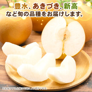梨 訳あり 品種おまかせ梨 約5kg