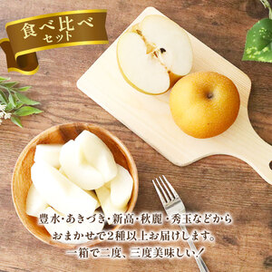 【2026年予約】 訳あり梨 品種食べ比べ梨 約2.5kg