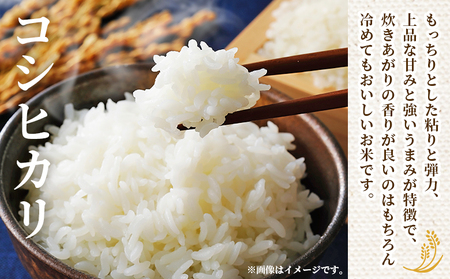 ＜令和7年産 西予市産 コシヒカリ 約5kg＞ お米 米 コメ こめ 白米 精米 ご飯 穀物 こしひかり 5キロ 特産品 愛媛県産 株式会社宇都宮米穀 愛媛県 西予市【常温】『最短10営業日以内に順次出荷予定』NKU0001