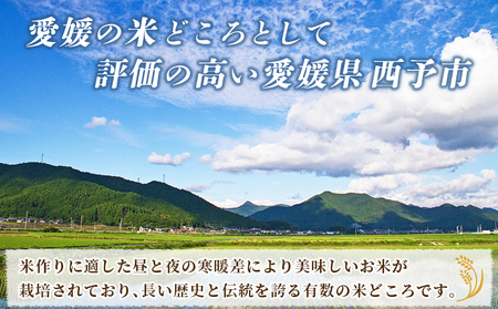 ＜令和7年産 お米 食べ比べ 3種セット 合計約6kg（各2kg）＞ 米 コメ こめ 白米 精米 コシヒカリ あきたこまち にこまる 穀物 特産品 宇都宮米穀 愛媛県 西予市【常温】『最短10営業日以内に順次出荷予定』NKU0003