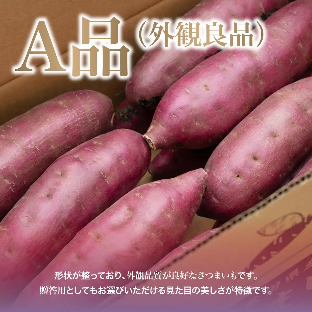 さつまいも 紅はるか 2ヶ月熟成 焼き芋 さつまいも【10kg】
