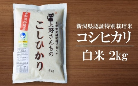 先行予約【令和8年産新米・3ヶ月定期便・9月～発送】 コシヒカリ 白米 2kg×3回（計 6kg）上野さんちの有機100％肥料で栽培 [Y0462]