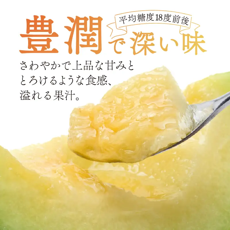 【先行予約】アールスメロン 青肉 1玉 [A-060005]