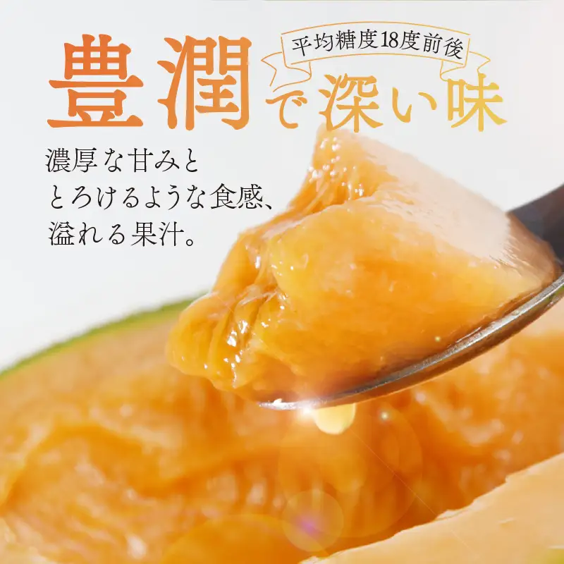 【先行予約】アールスメロン 赤肉 1玉 [A-060006]