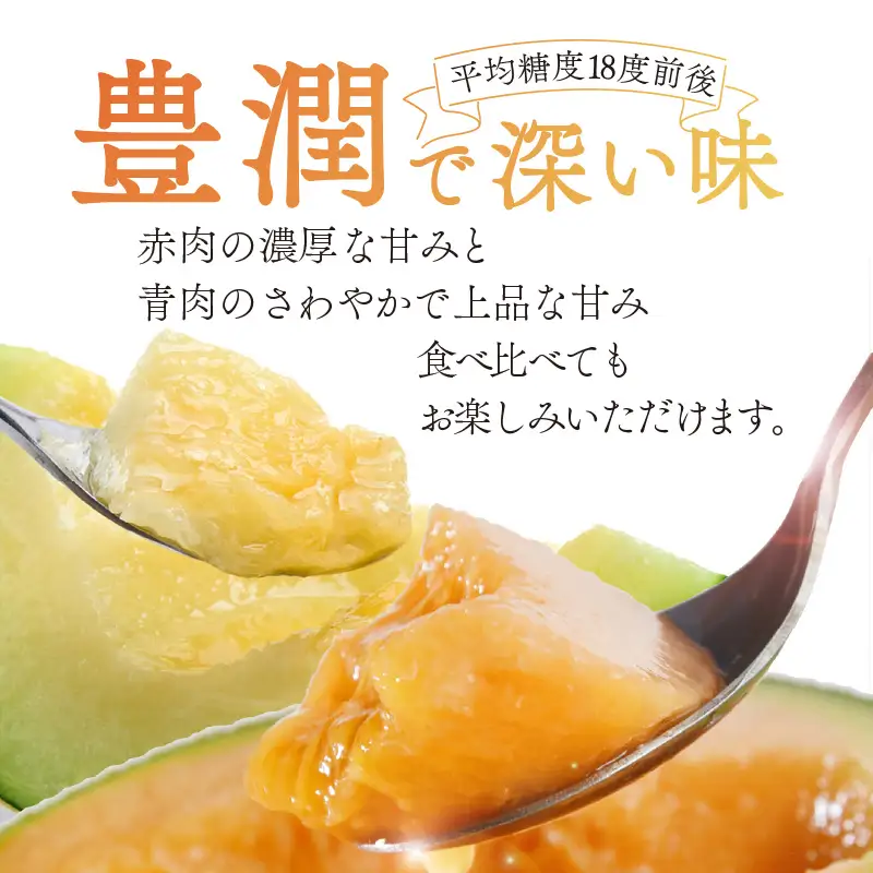 【先行予約】アールスメロン 青肉・赤肉 2玉 [A-060007]