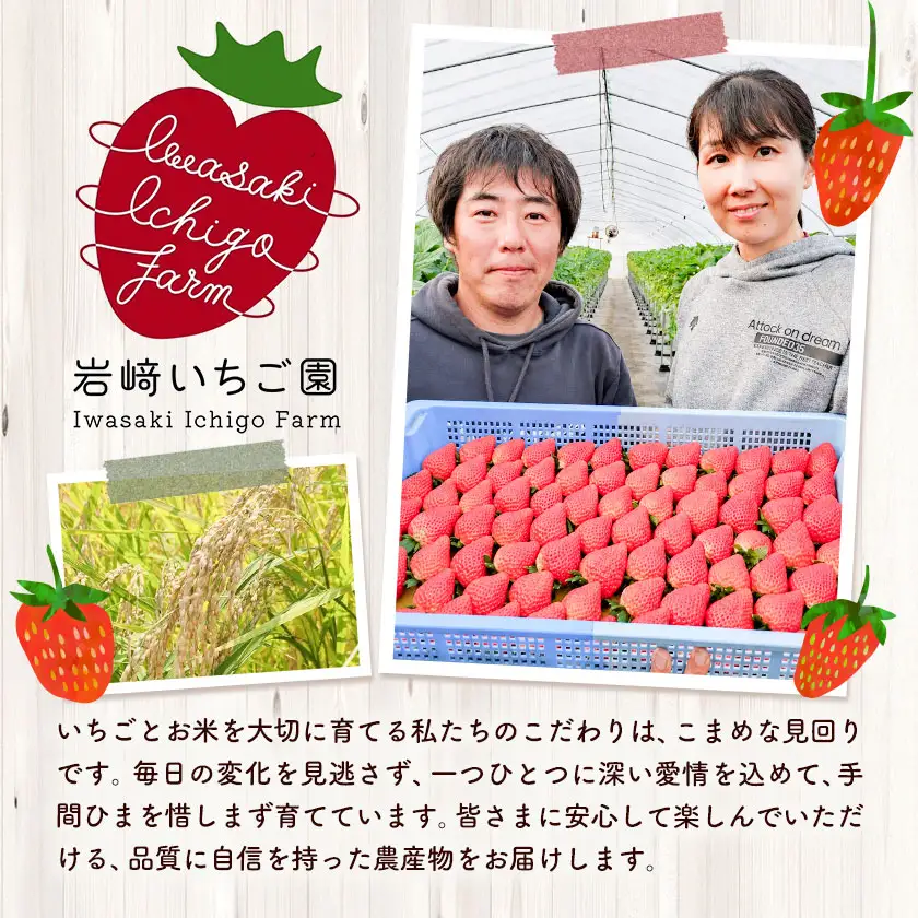 【4ヶ月定期便】いちご 栃木県芳賀町産 とちあいか 2パック 岩崎いちご園