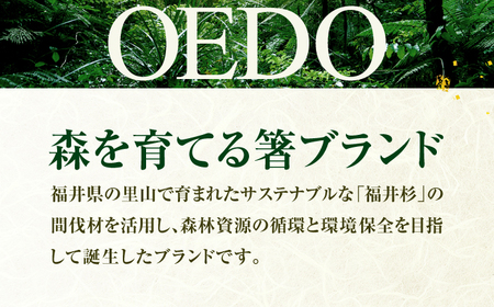 OEDO -Chic- Sable 福井の森から生まれたお箸（食洗機対応 若狭塗箸 1膳）/ 純国産 木製 箸 おしゃれ ギフト 小浜市 / スタイル・オブ・ジャパン[BFCX051]