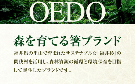 OEDO -Chic- Noir 福井の森から生まれたお箸（食洗機対応 若狭塗箸 1膳）/ 純国産 木製 箸 おしゃれ ギフト 小浜市 / スタイル・オブ・ジャパン[BFCX054]