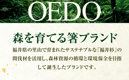 OEDO -SOLID- Black 福井の森から生まれたお箸（食洗機対応 若狭塗箸 1膳）/ 国産 木製 箸 サステナブル 小浜市 / スタイル・オブ・ジャパン[BFCX057]