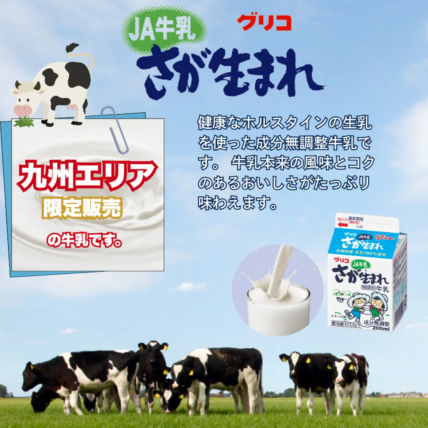 JAさが生まれ牛乳 200ml×12本セット：A080-017