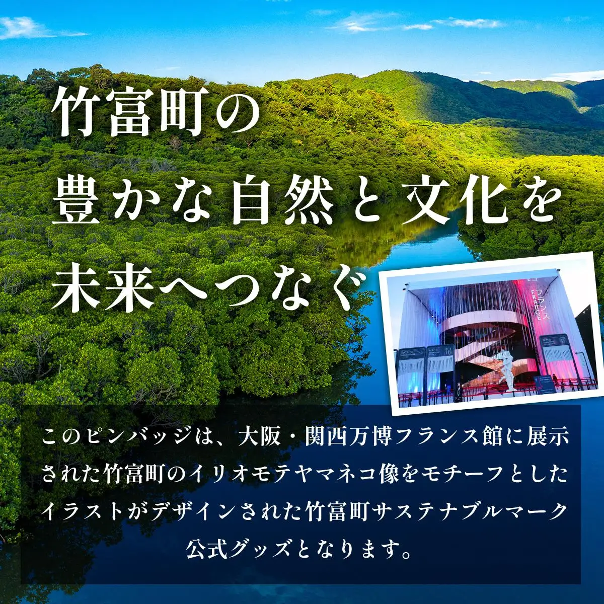 竹富町公式サステナブルマークピンバッジ【グリーン】（マグネットタイプ）