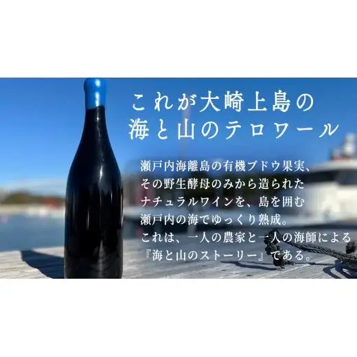 海底貯蔵 ワイン 「海底貯蔵 エヌ by Vignoble de NAKA rouge MBA」