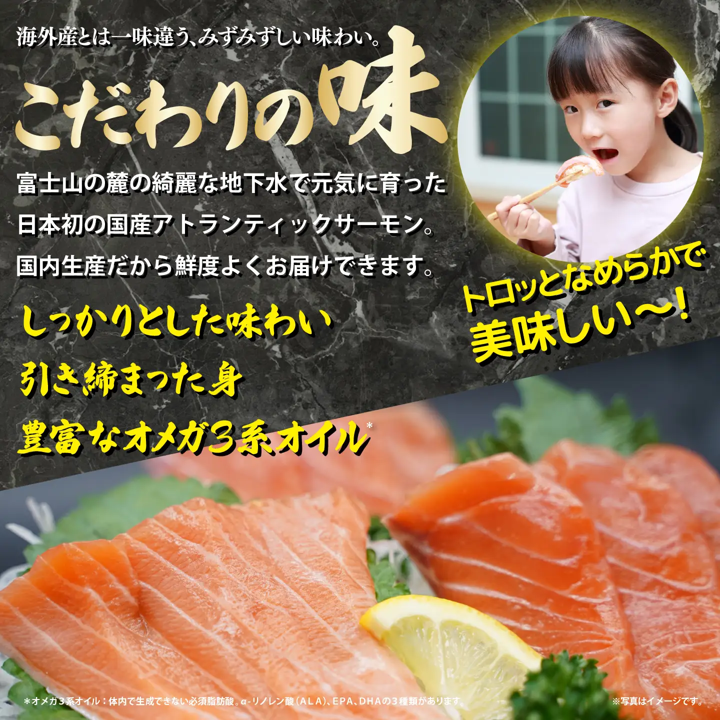 サーモン 約750g 小分け 3～4P 国産サーモン