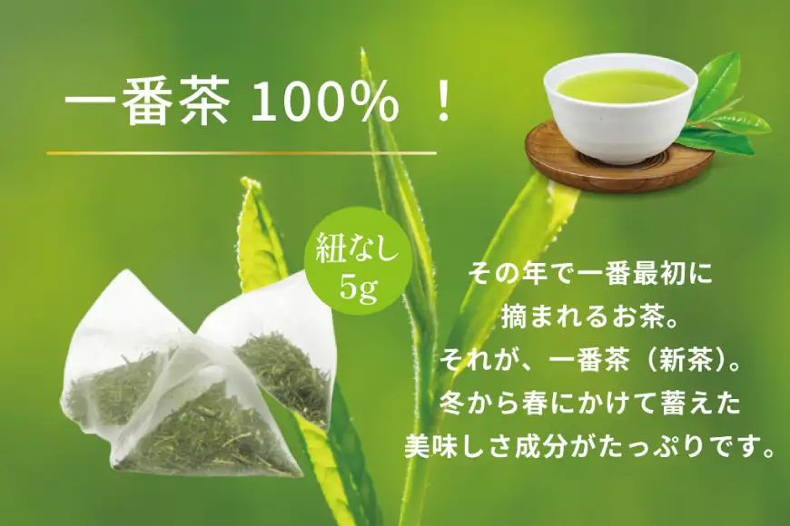 お茶 ティーバッグ 特撰 みやざき煎茶 3袋 セット