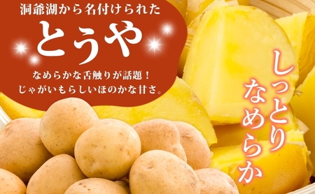じゃがいも とうや 小野寺農園 北海道産 じゃがいも【5kg】【先行予約】